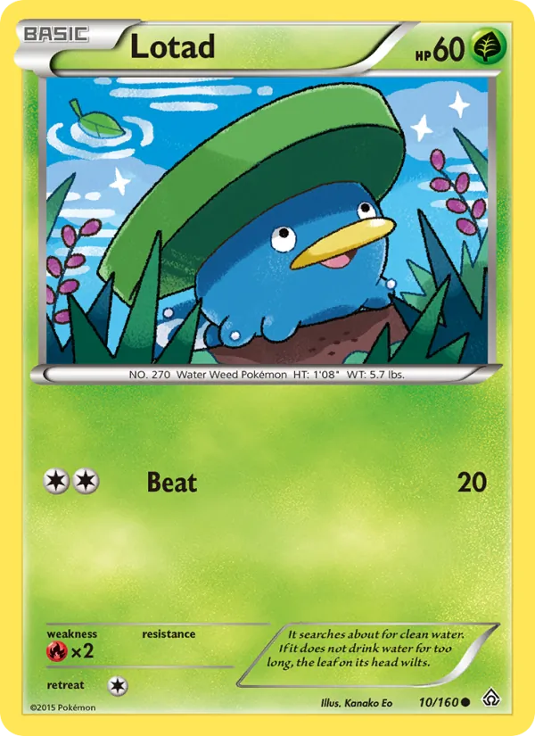 Lotad Pokémon card