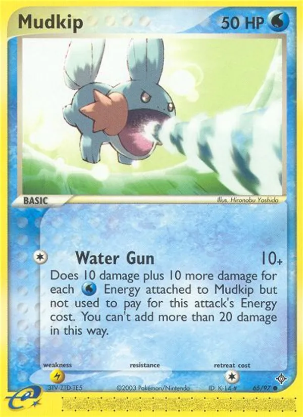 Mudkip card