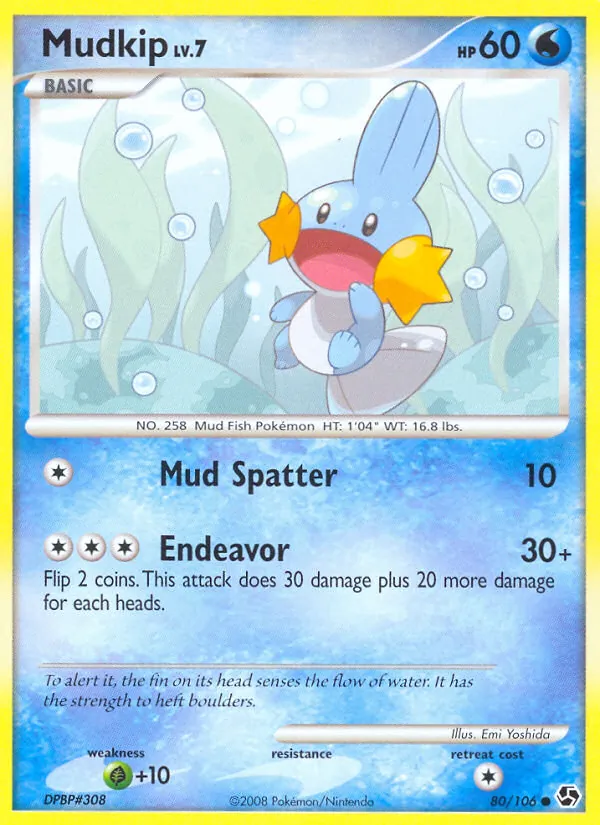 Mudkip card
