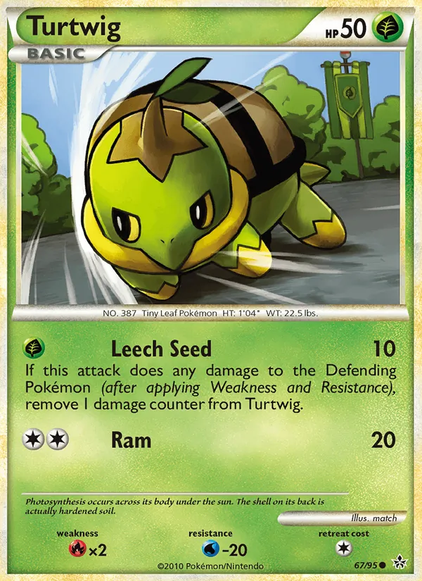 Turtwig card