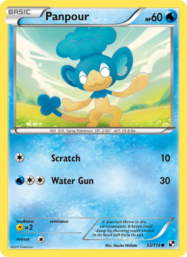 Panpour card