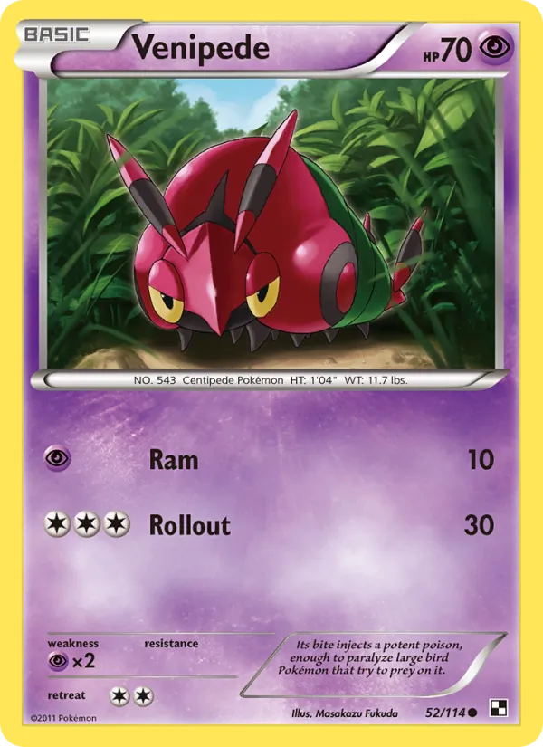 Venipede Pokémon card