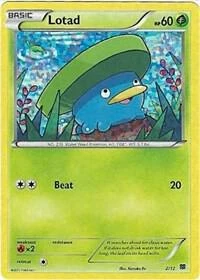 Lotad Pokémon card