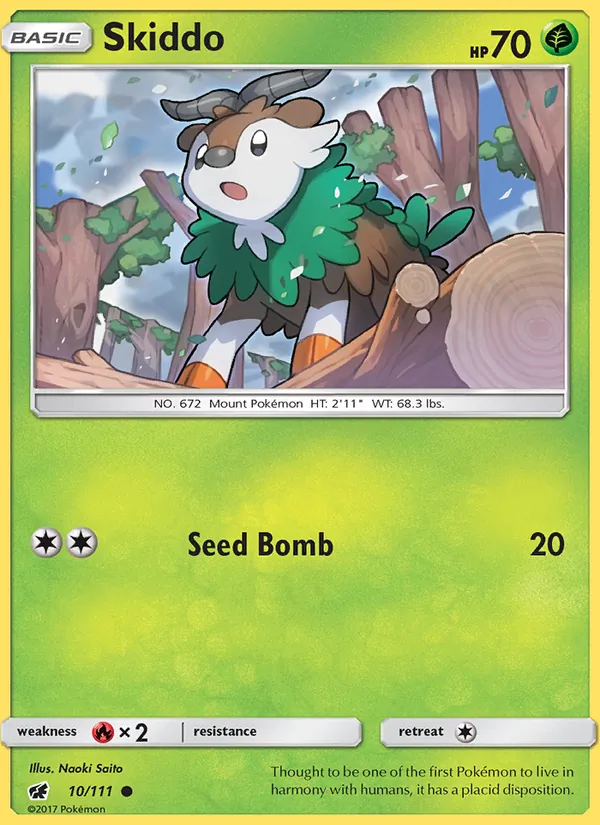 Skiddo card