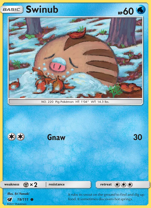 Swinub card