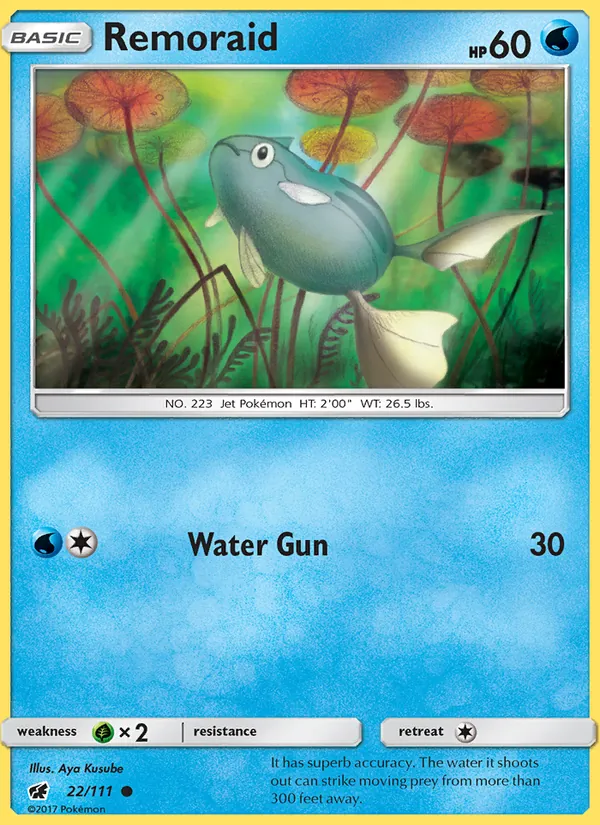 Remoraid card