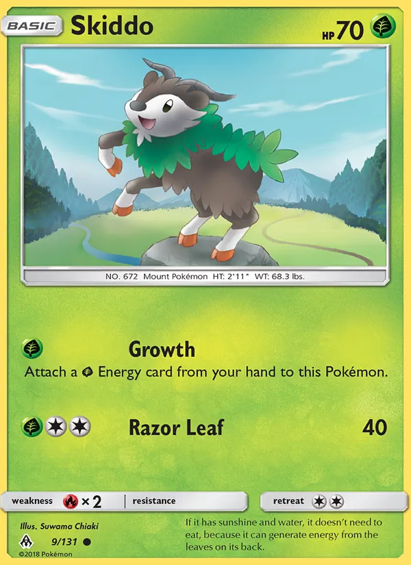 Skiddo card