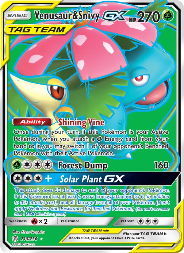 Venusaur & Snivy GX Pokémon card