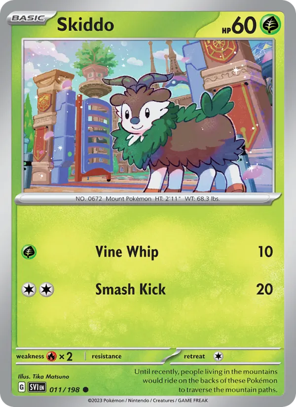 Skiddo card