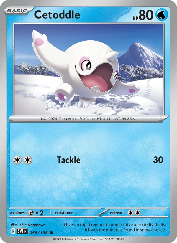 Cetoddle Pokémon card