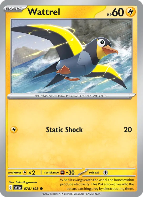 Wattrel Pokémon card