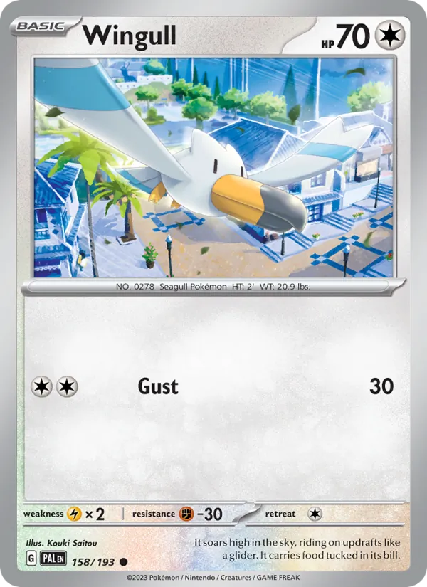 Wingull card