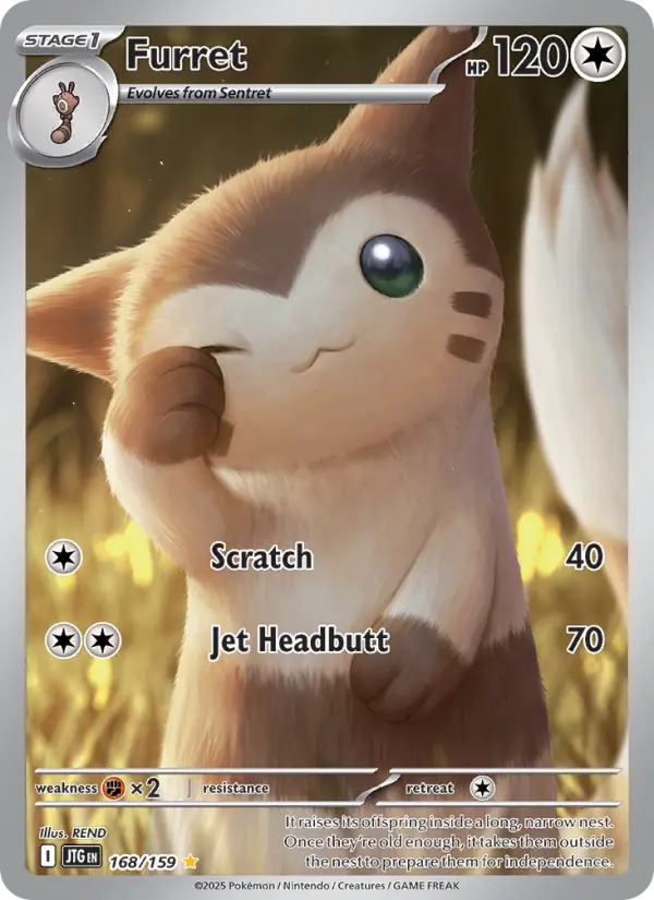 Furret Pokémon card