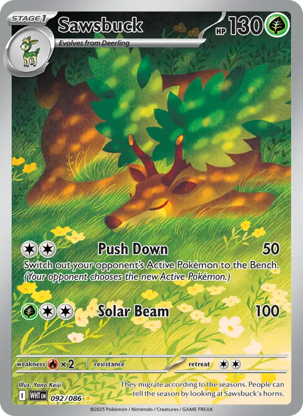 Sawsbuck Pokémon card