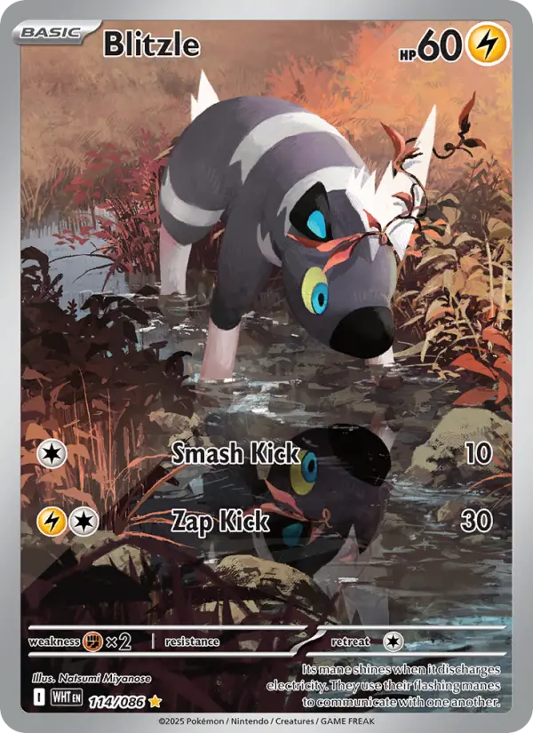 Blitzle Pokémon card