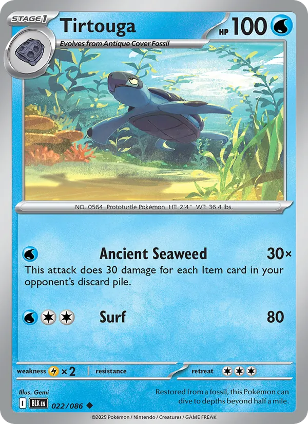 Tirtouga card