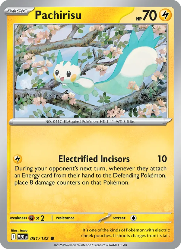 Pachirisu Pokémon card