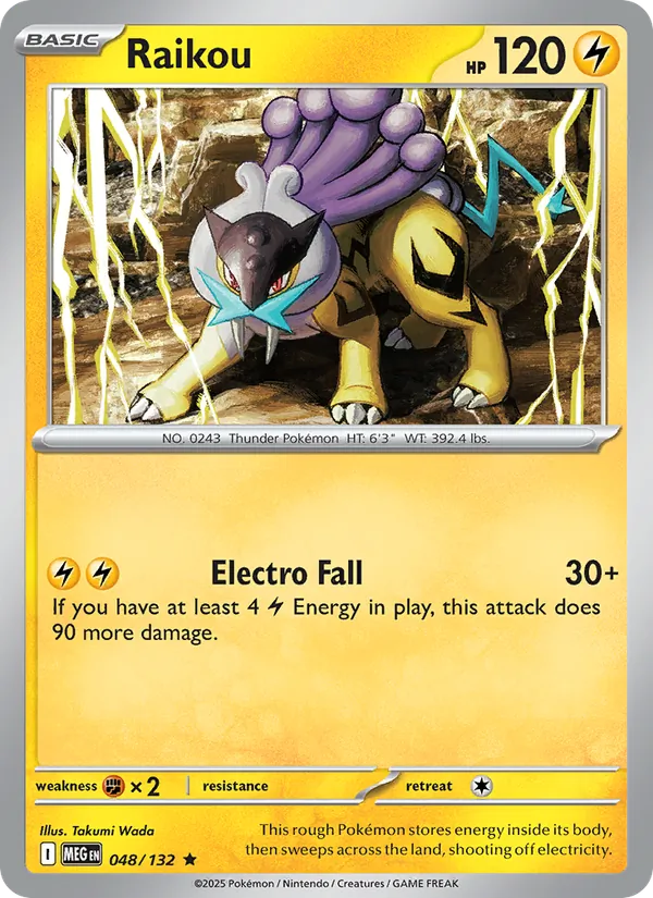 Raikou Pokémon card