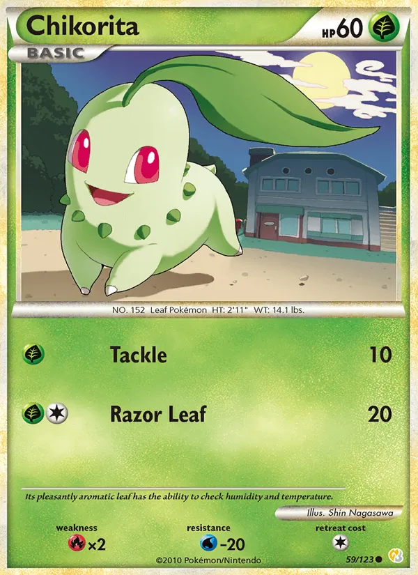 Chikorita card