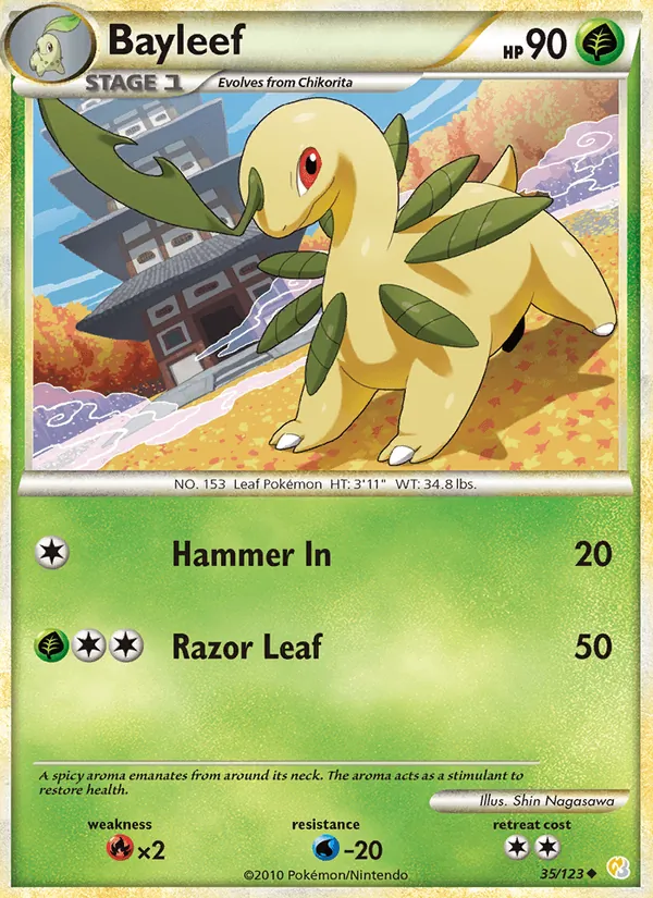 Bayleef card