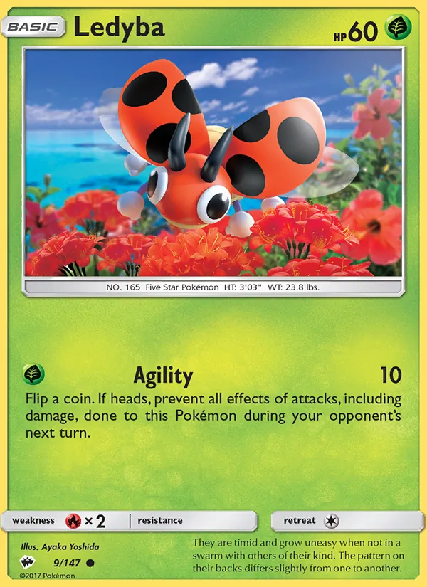 Ledyba card