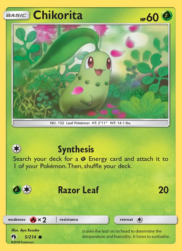 Chikorita card