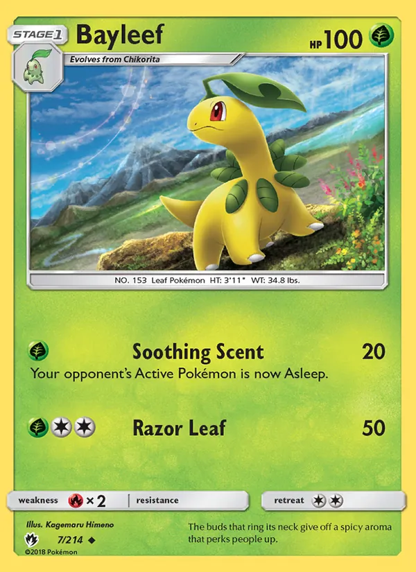 Bayleef card