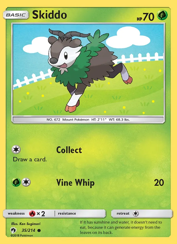 Skiddo card