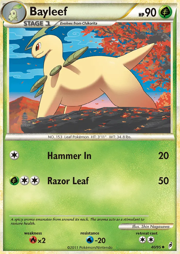 Bayleef card
