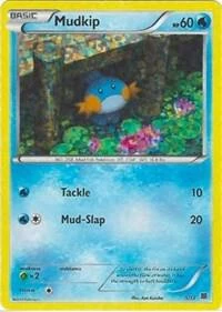 Mudkip card