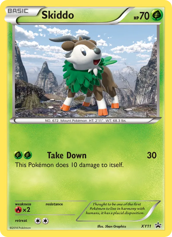 Skiddo card