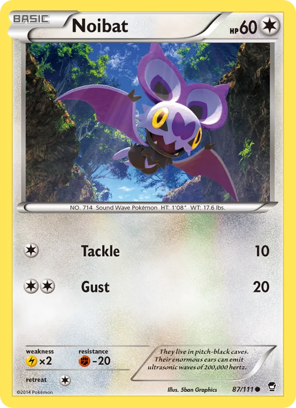 Noibat card