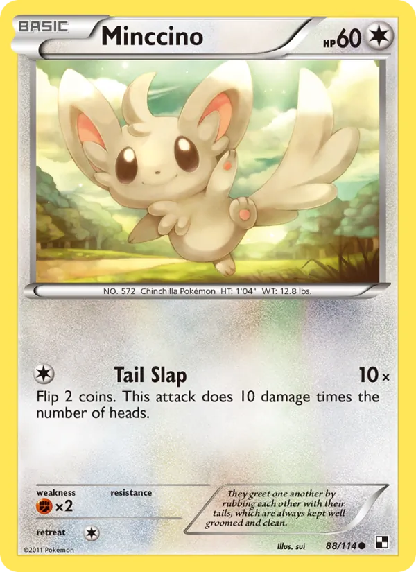 Minccino card