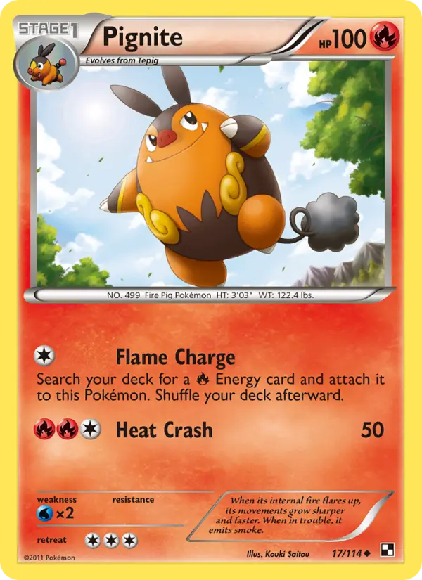 Pignite card