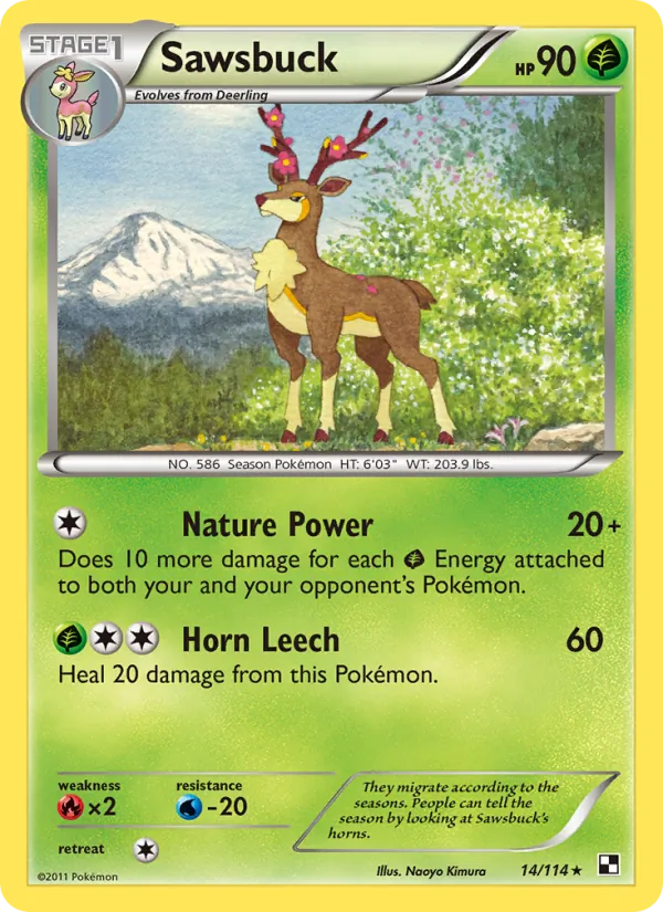 Sawsbuck card