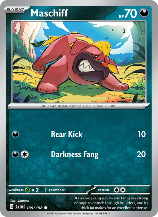 Maschiff card