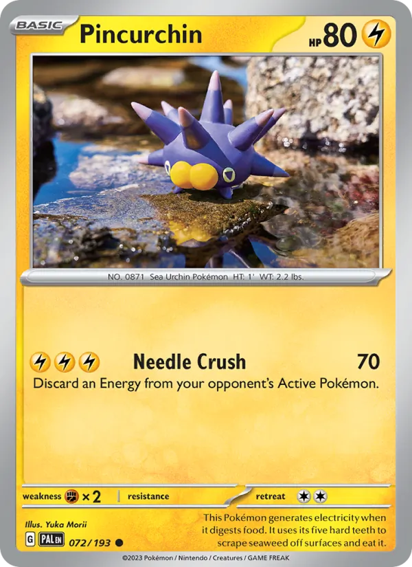 Pincurchin card
