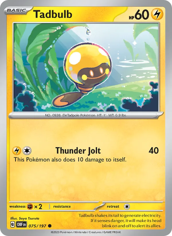 Tadbulb card