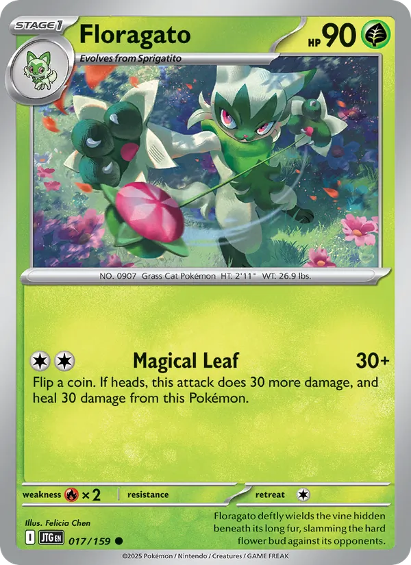 Floragato card