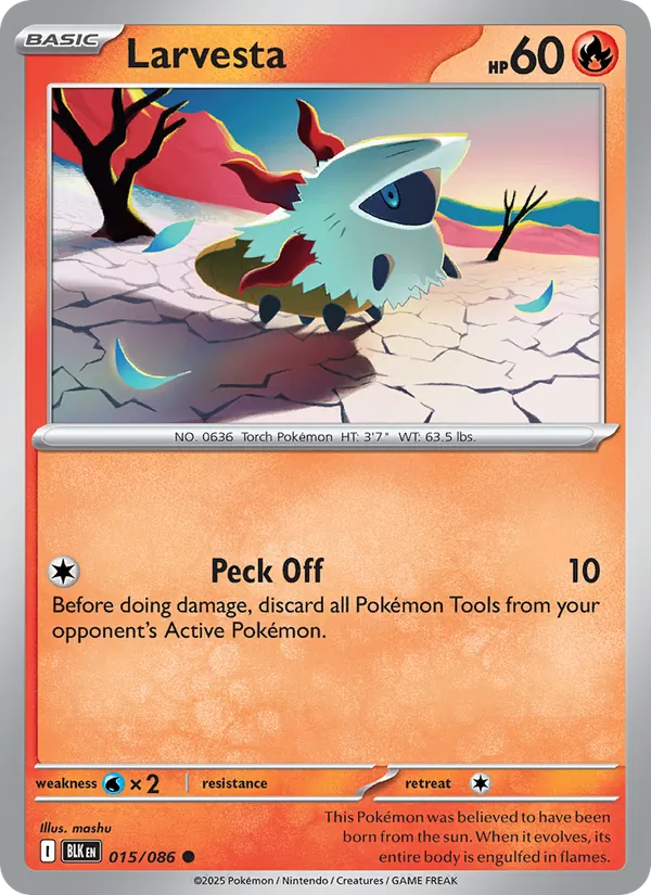 Larvesta card