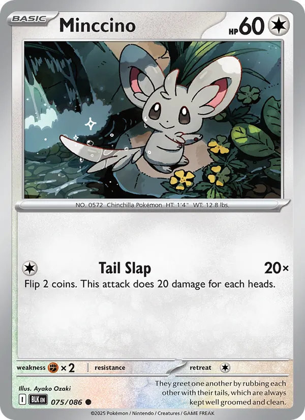 Minccino card