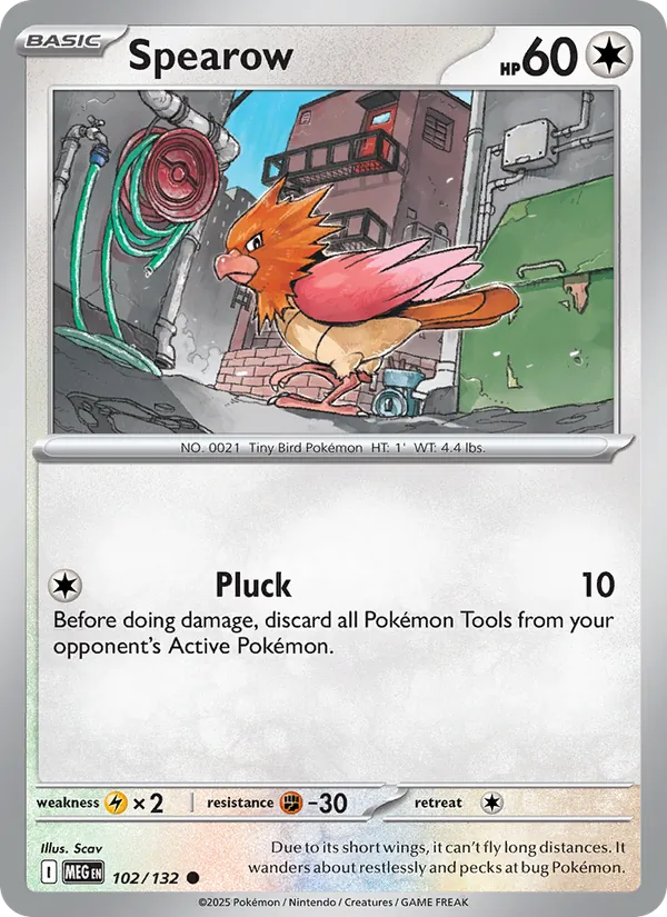 Spearow card