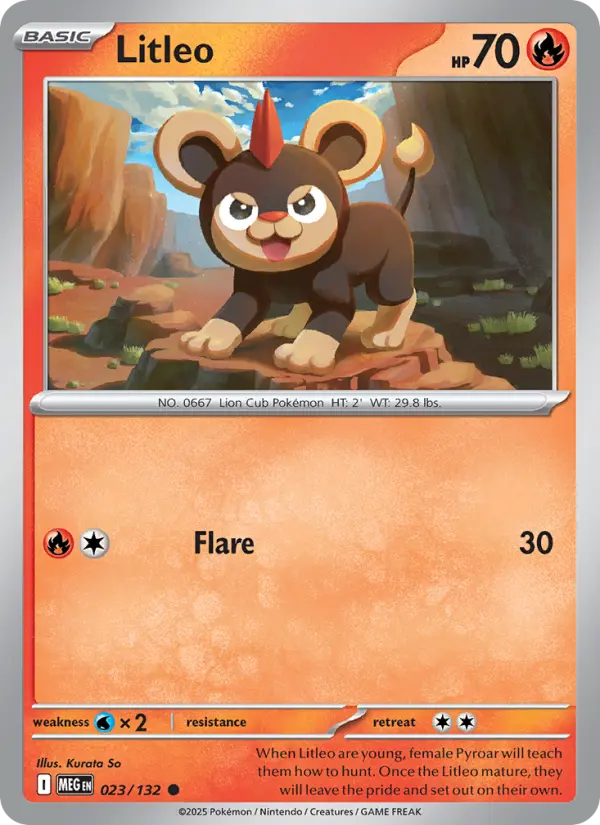 Litleo card