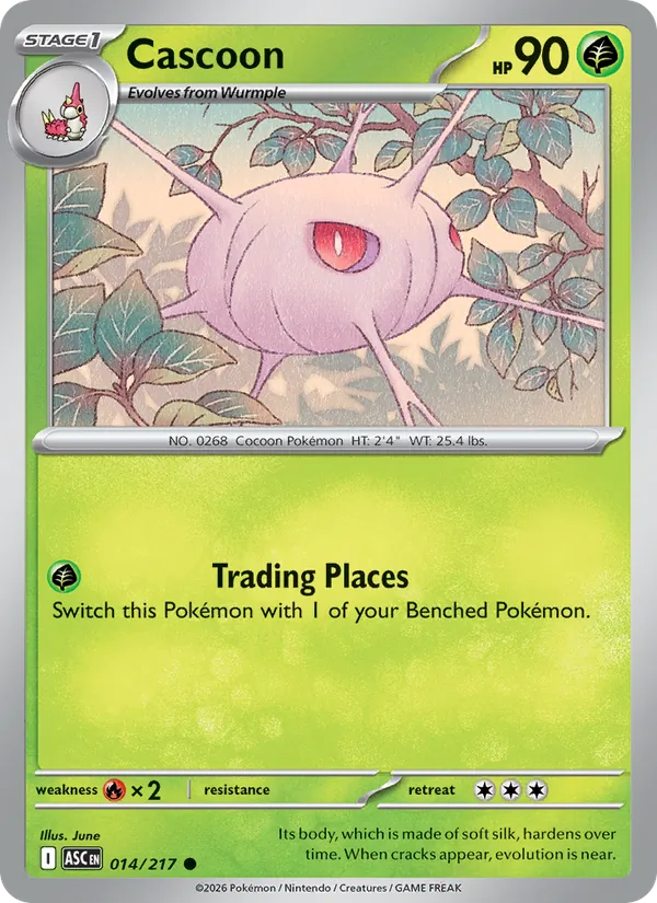 Cascoon card