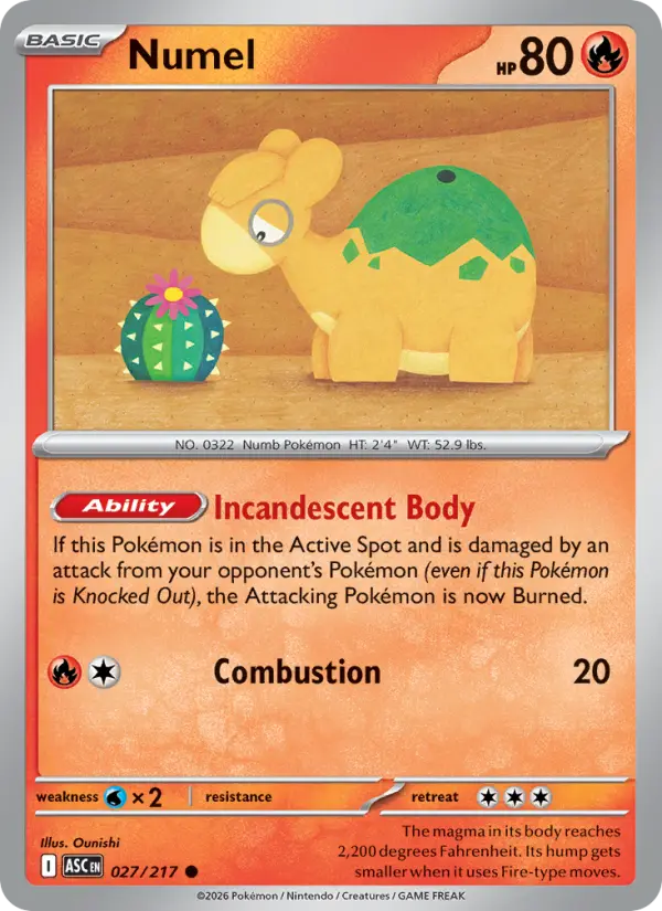 Numel card