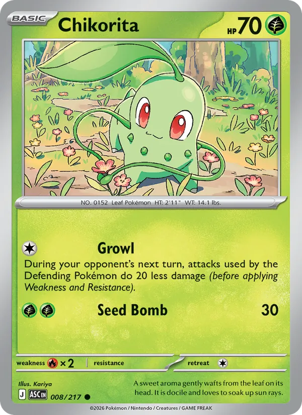 Chikorita card