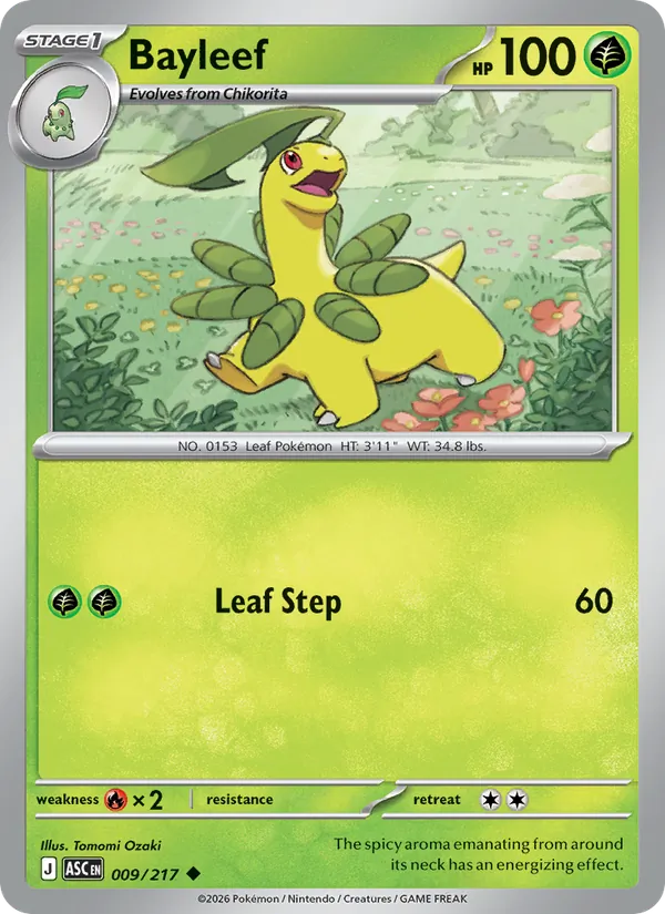 Bayleef card