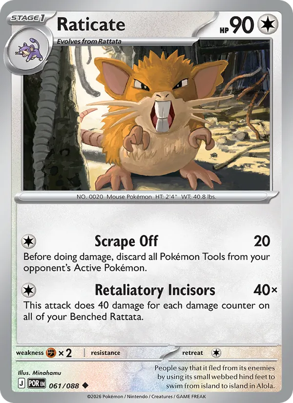 Raticate card