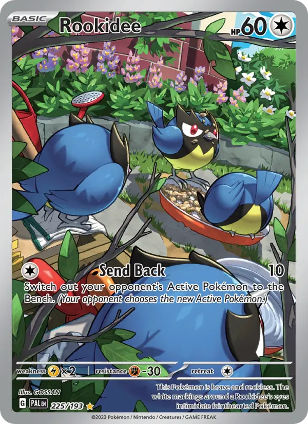 Rookidee card