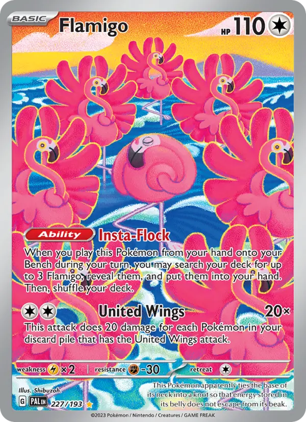 Flamigo card